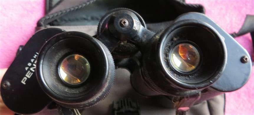 Vintage Pentax Binoculars with Carry Case