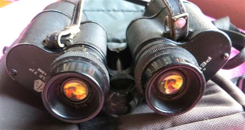 Vintage Pentax Binoculars with Carry Case