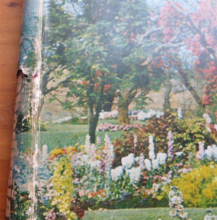 Gardening in Rhodesia - Vol. 1 - Philip Wood