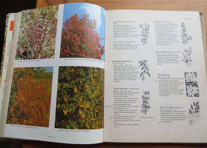 Gardening in Rhodesia - Vol. 1 - Philip Wood