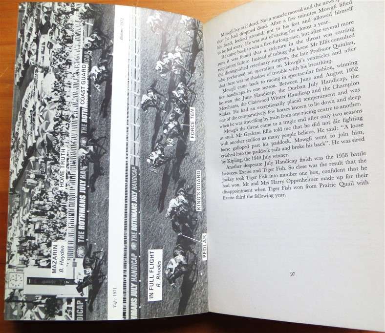 The July Handicap - Molly Reinhardt (1973)