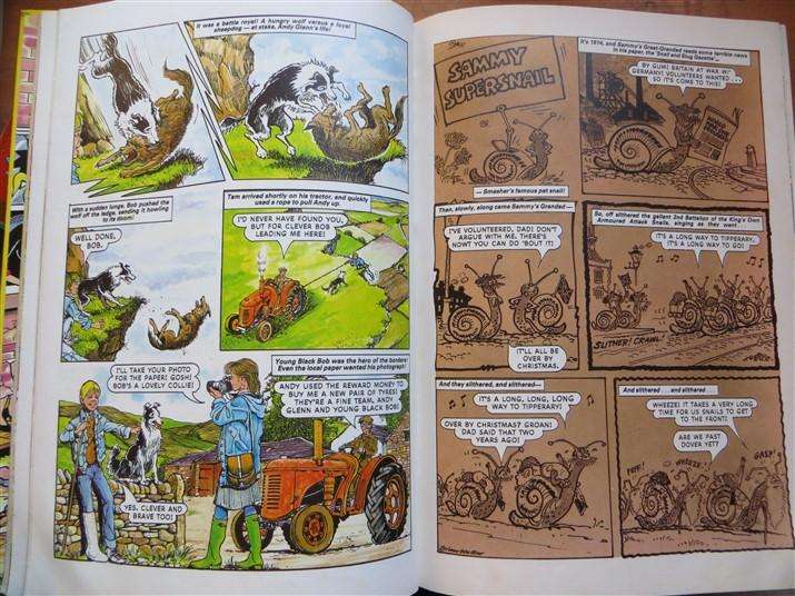 The Dandy Book 1990 Annual