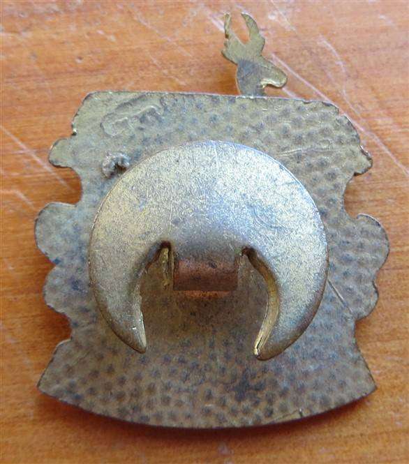 Vintage Ars In Luce lapel button badge Sprinbok