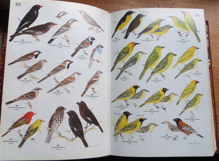 Roberts' Birds of South Africa (1985) - Gordon Lindsay Maclean