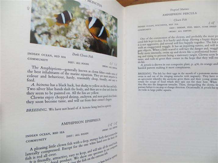 All About Tropical Fish - Derek McInerny 1966 - Foxing Present