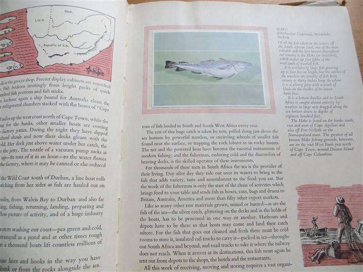 SA Fish & Fishing - I & J (1963) - Collectors Cards in Album - Complete