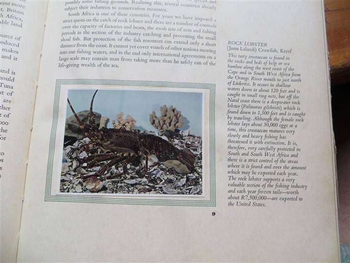 SA Fish & Fishing - I & J (1963) - Collectors Cards in Album - Complete