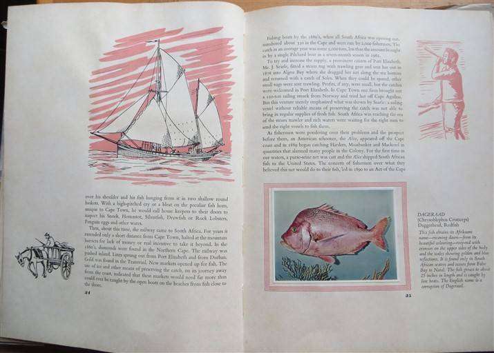 SA Fish & Fishing - I & J (1963) - Collectors Cards in Album - Complete