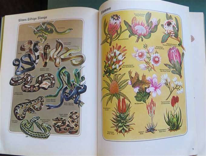 AA Road Atlas & Touring Guide 4th Ed. includes Rhodesia (Afrikaans)