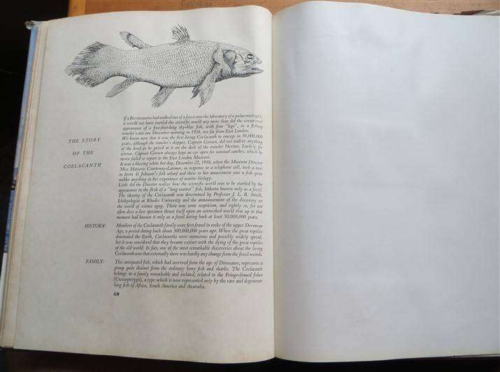 SA Fish & Fishing - I & J (1963) - Collectors Cards in Album - Complete