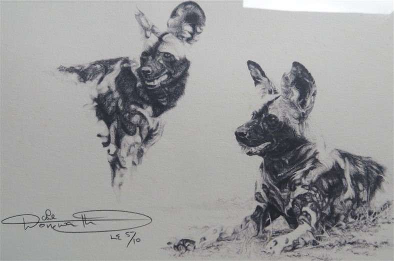 African Wild Dogs - Limited Edition 5/10 - Artist signed Print - wood frame with Glass
