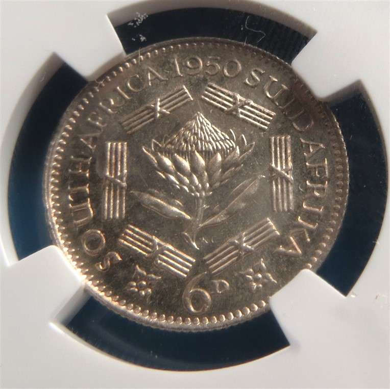 1950 SA 6d Sixpence Silver NGC PF61 Mintage : 500