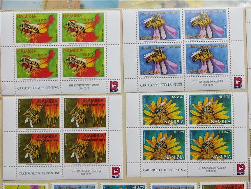 Honeybees of Namibia Set on Control Blocks and Singles