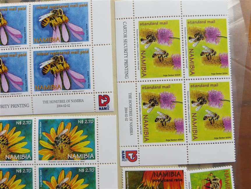 Honeybees of Namibia Set on Control Blocks and Singles