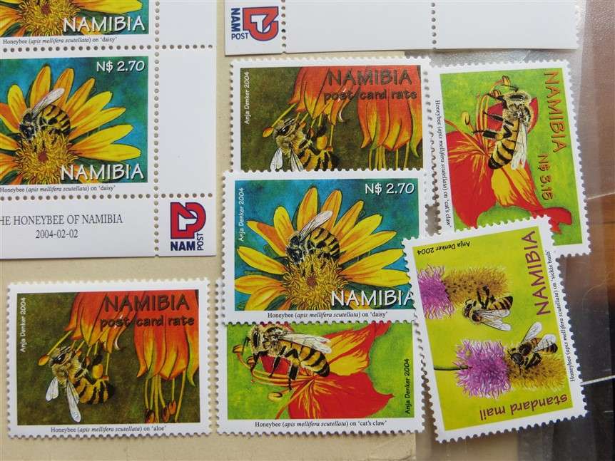Honeybees of Namibia Set on Control Blocks and Singles