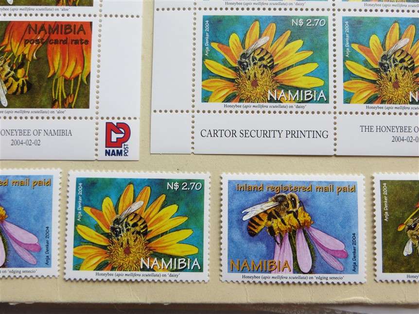Honeybees of Namibia Set on Control Blocks and Singles
