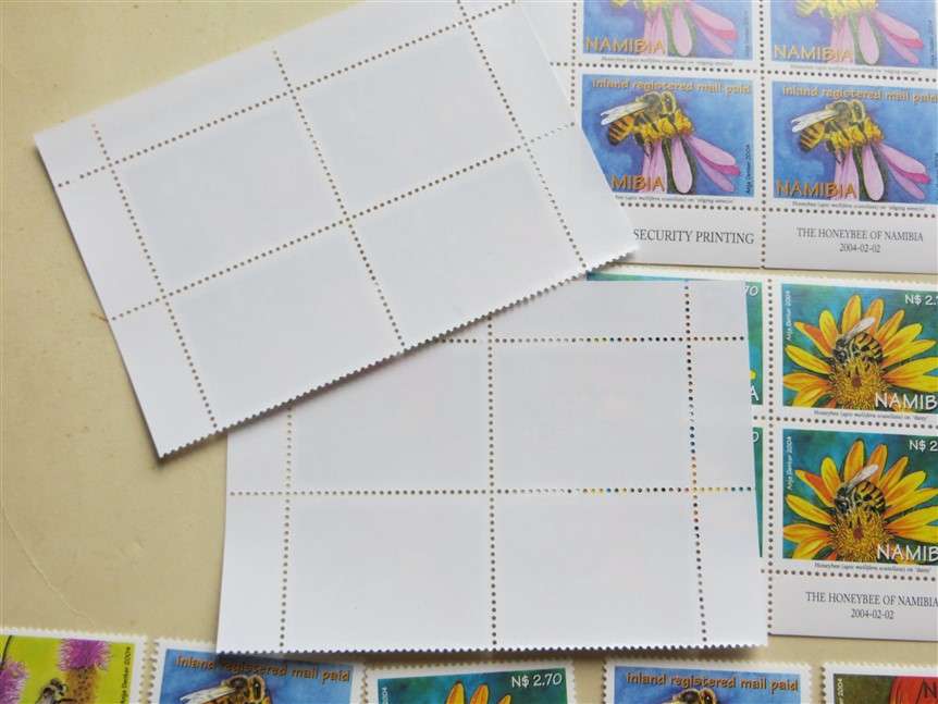 Honeybees of Namibia Set on Control Blocks and Singles