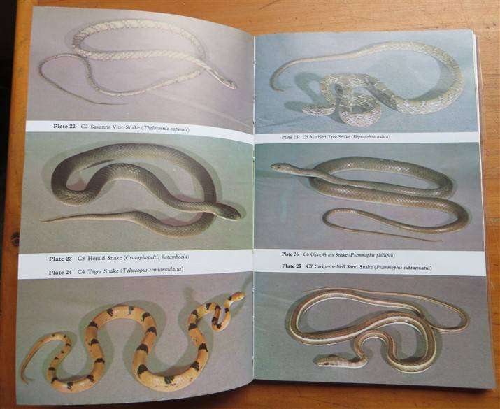 Snakes of Zimbabwe - Broadley & Cock - Bundu Series