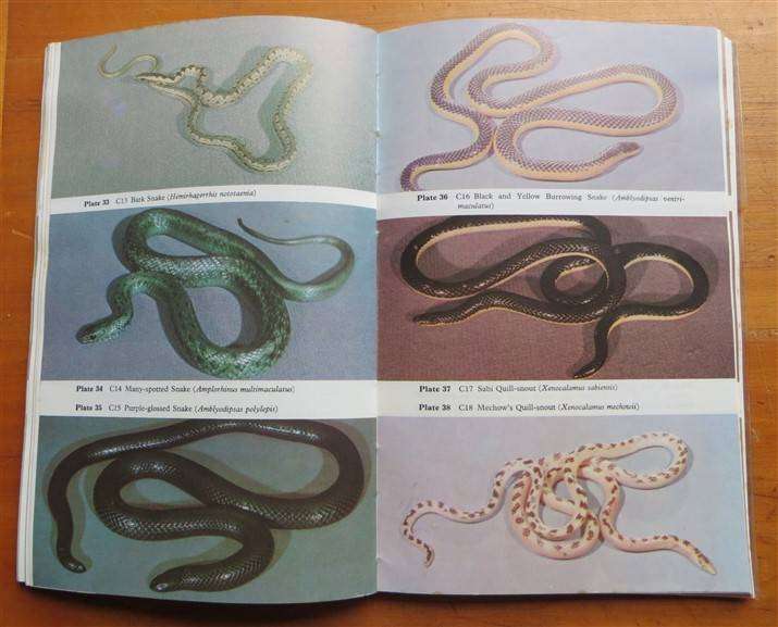 Snakes of Zimbabwe - Broadley & Cock - Bundu Series