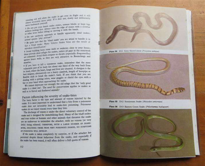 Snakes of Zimbabwe - Broadley & Cock - Bundu Series