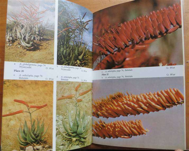 A Field Guide to the Aloes of Rhodesia - Oliver West - Bundu Series