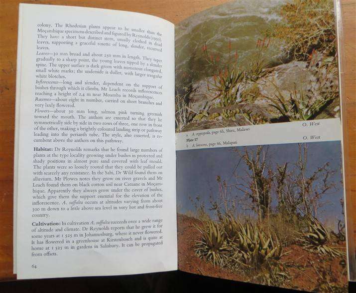 A Field Guide to the Aloes of Rhodesia - Oliver West - Bundu Series