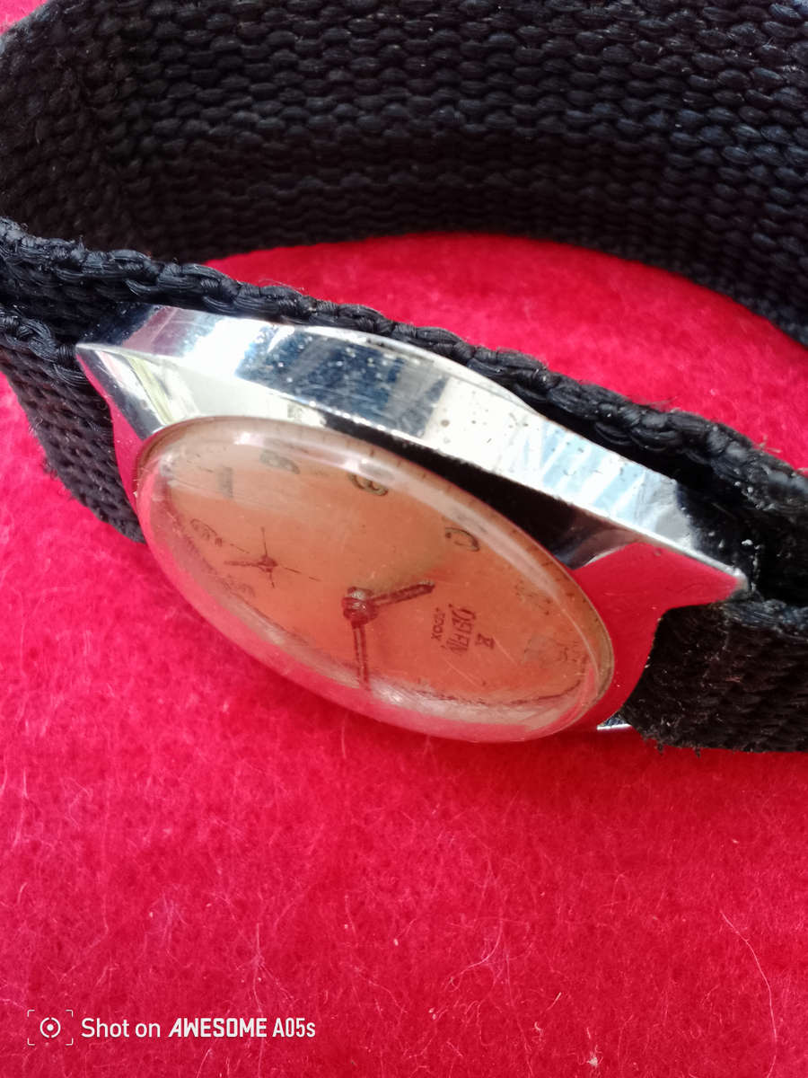 Delfin Edox with sub