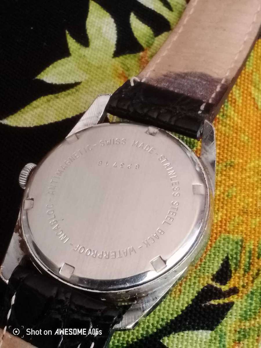 Delfin 17 jewels with date