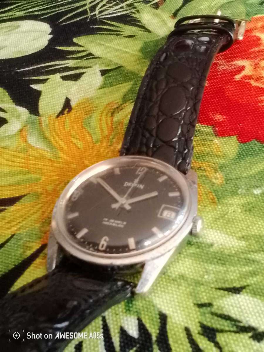 Delfin 17 jewels with date