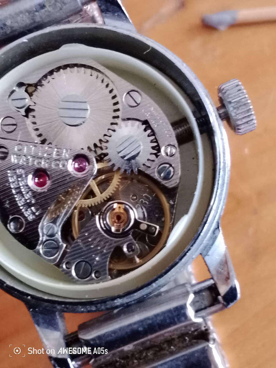 Citizen 17 jewels Brown dial