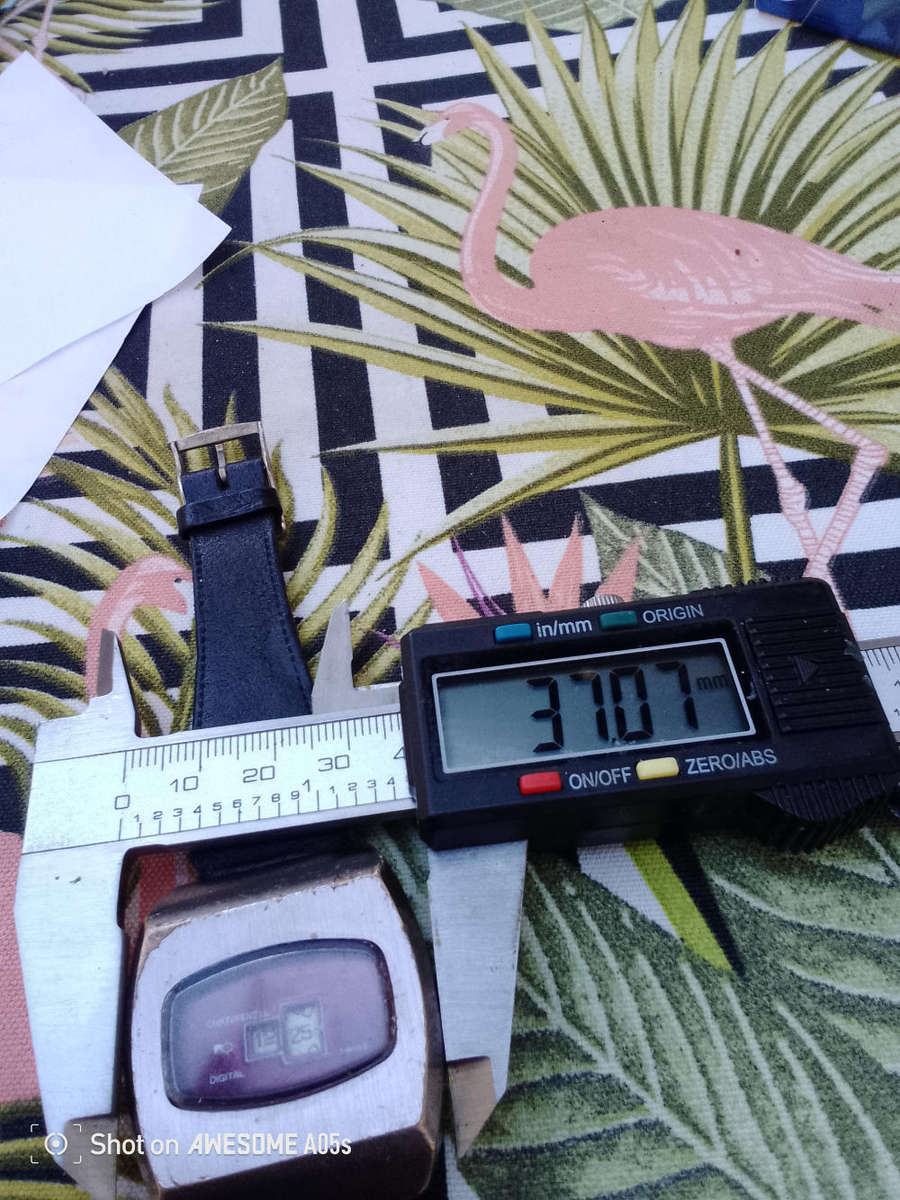 Continental jump watch