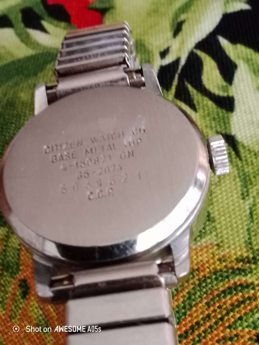 Citizen 17 jewels Brown dial