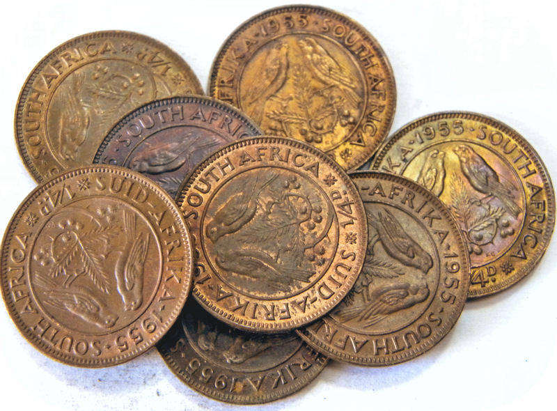 SA Unie: 8 x 1955 1/4d in UNC!  Bie per munt.