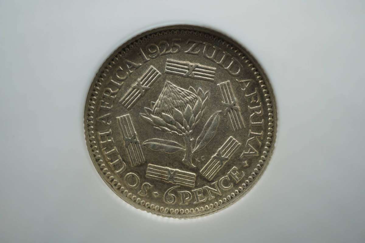 1925  South African Sixpence Hugh Grade NGC AU58 Protea