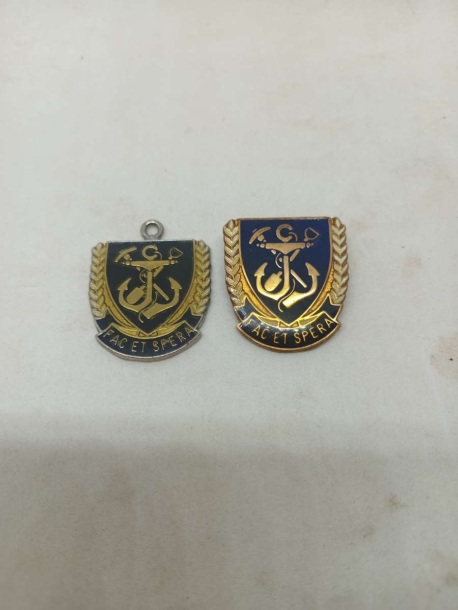 SADF Navy DO and Hope  Badge Pins intact .