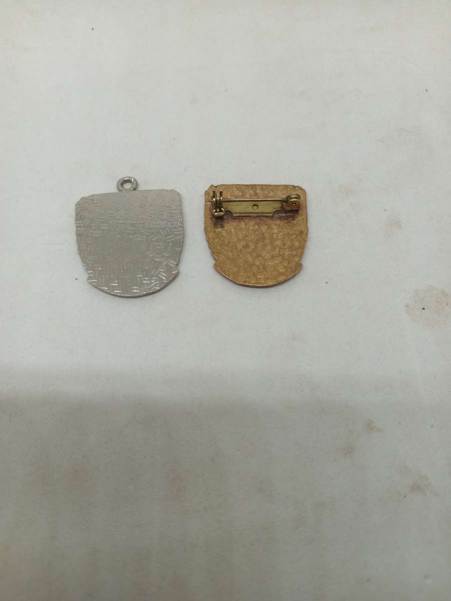 SADF Navy DO and Hope  Badge Pins intact .