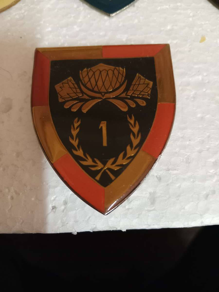 SADF 1st SSB Shoulder Flash pins intact