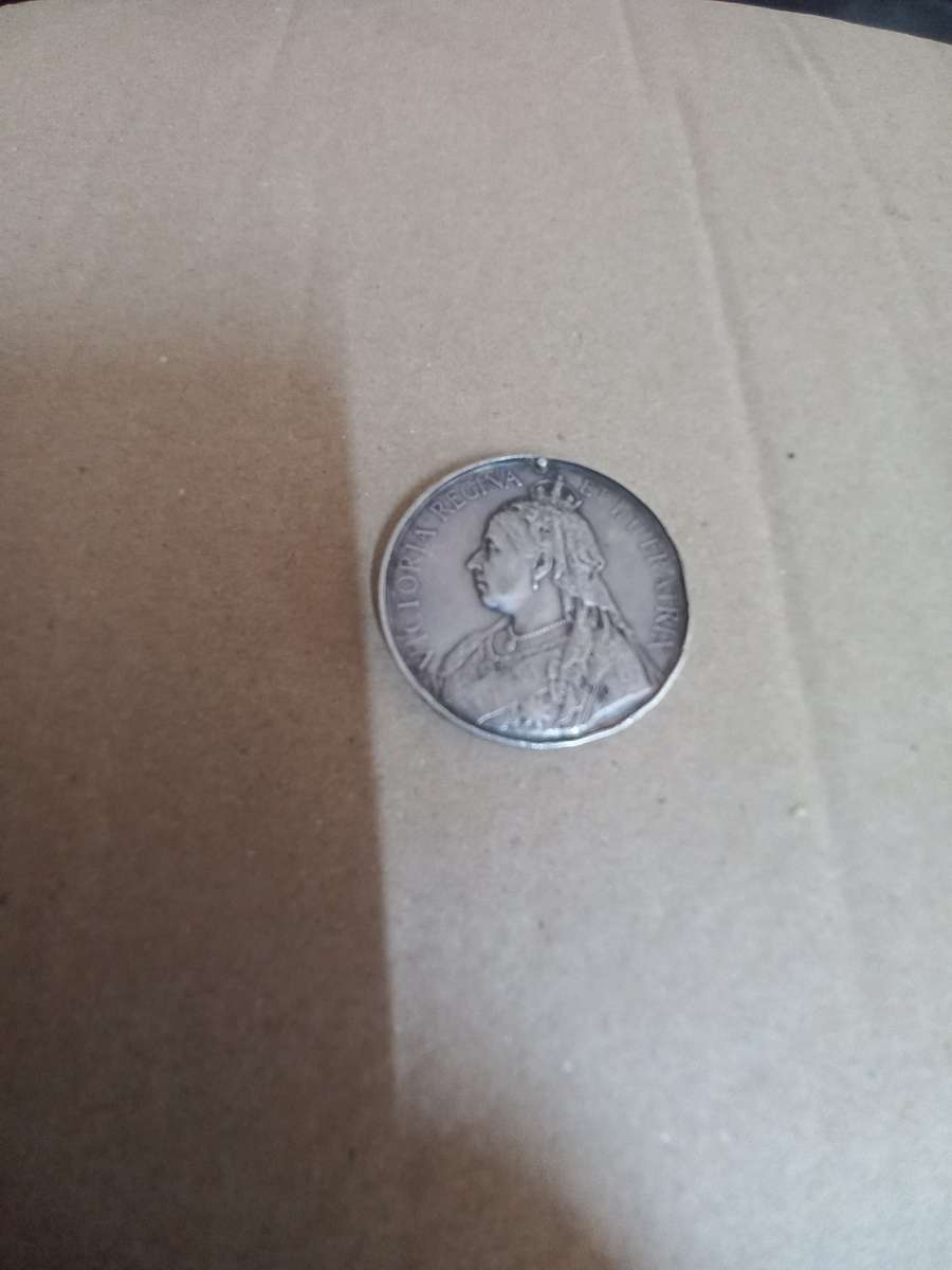 QSA Medal To PTE Stricken Thomas Prince  of Wales Light  Horse. No Suspender Cape Free State TVL