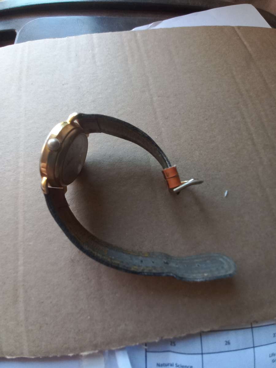 Regal  Skeleton men's wrist watch ZSH  3.5cm. Working.