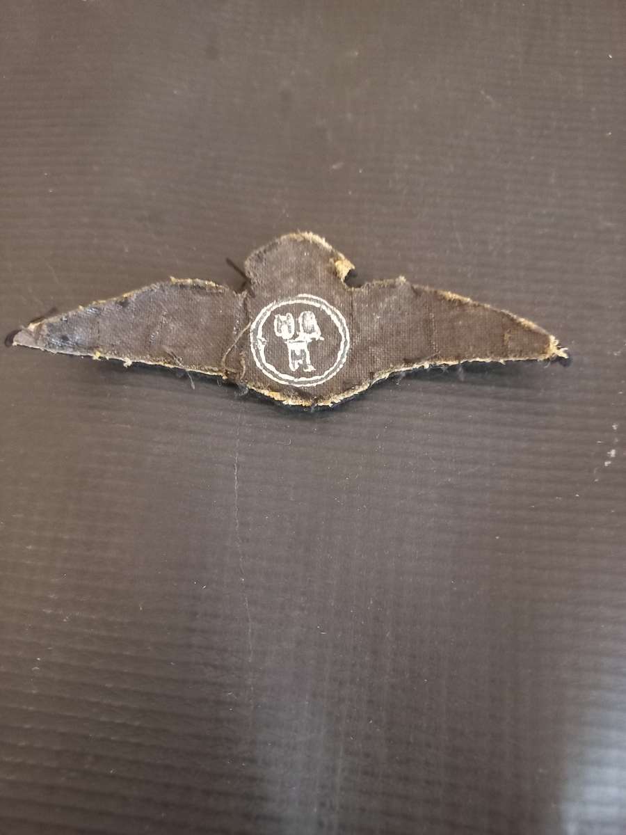 WW2 South African Airforce Wing