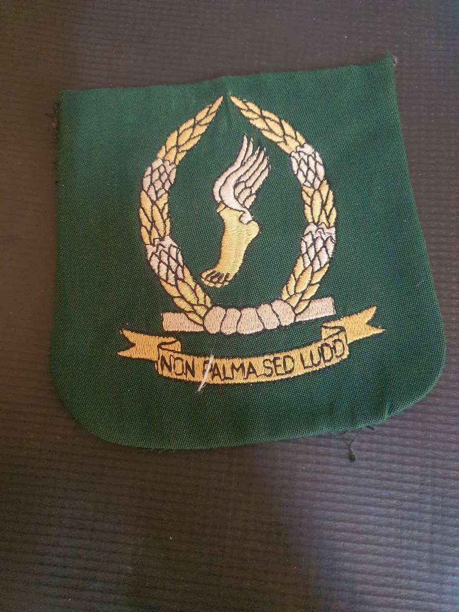 South African Prisoner Services Pocket Badge