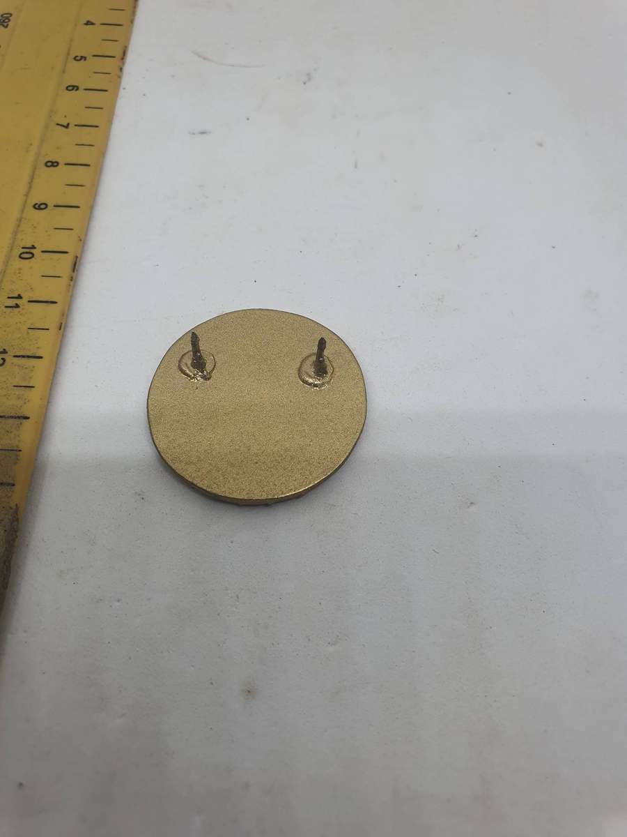 SAAF 100 Years Pin. Origin Unknown 2 cm