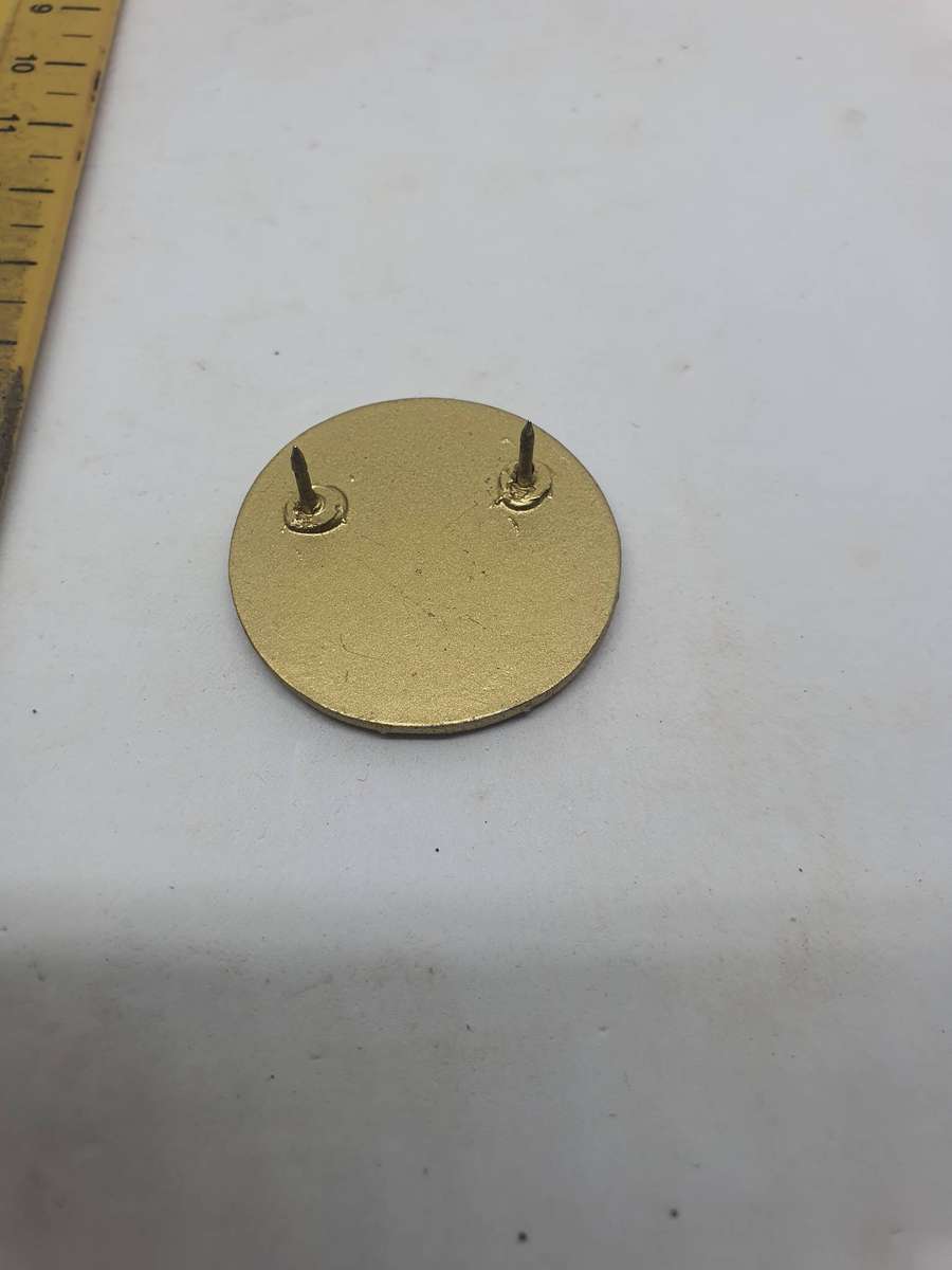 36 -203 Battalion Veteran Pin. Origin Unknown 2 cm