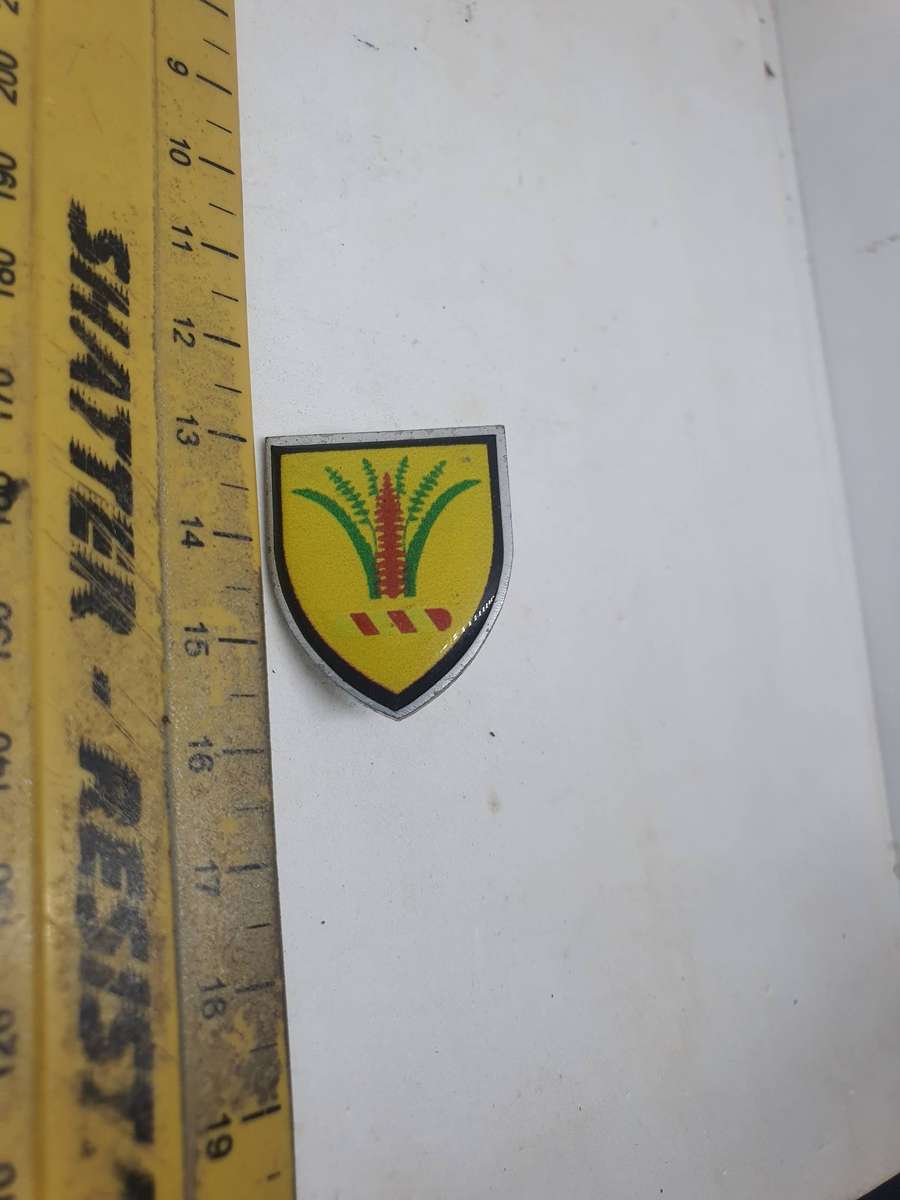 SADF Sector 10 Headquarters Pin. Origin Unknown 2 cm