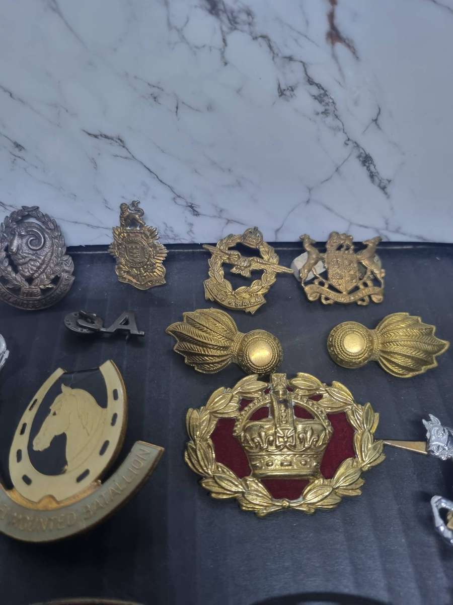 Over 50 SADF Badges Most Pins are intact. Start R1