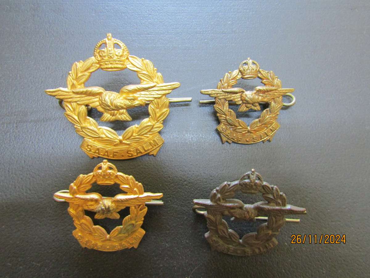 SADF Airforce Badges (A)
