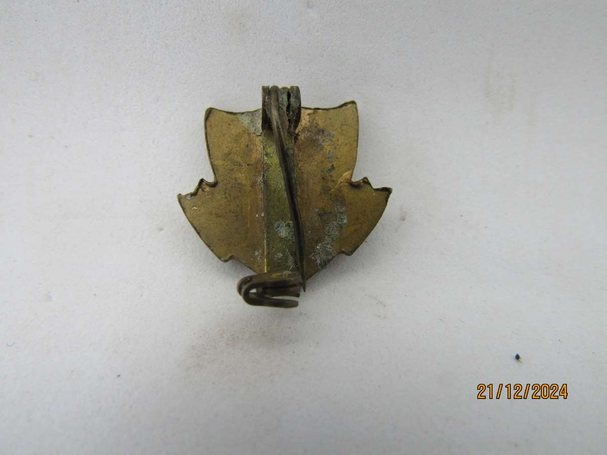 4 South African Railroad Wees Nugter  Badge/ 1 Bid for all