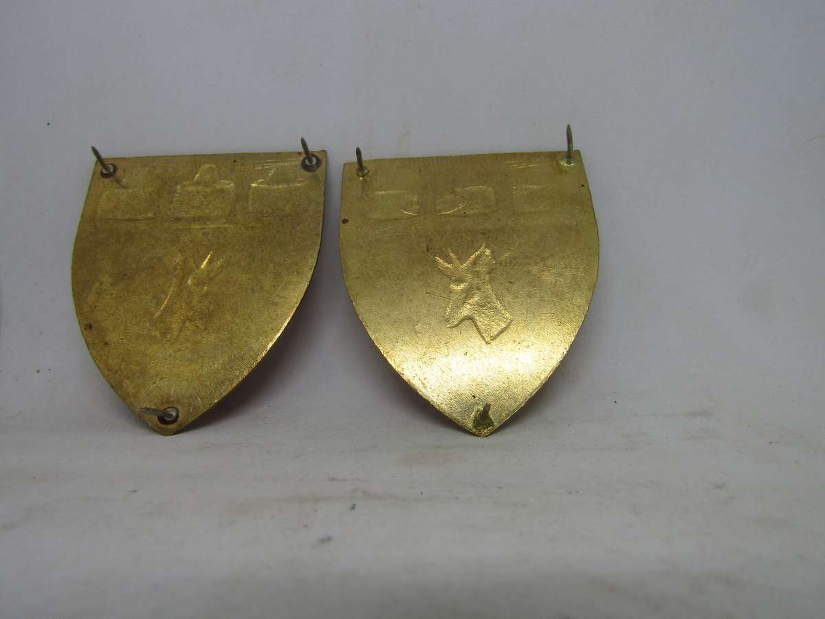 2  SADF Witwatersrand Command Shoulder Flashes Badge. Pin intact.