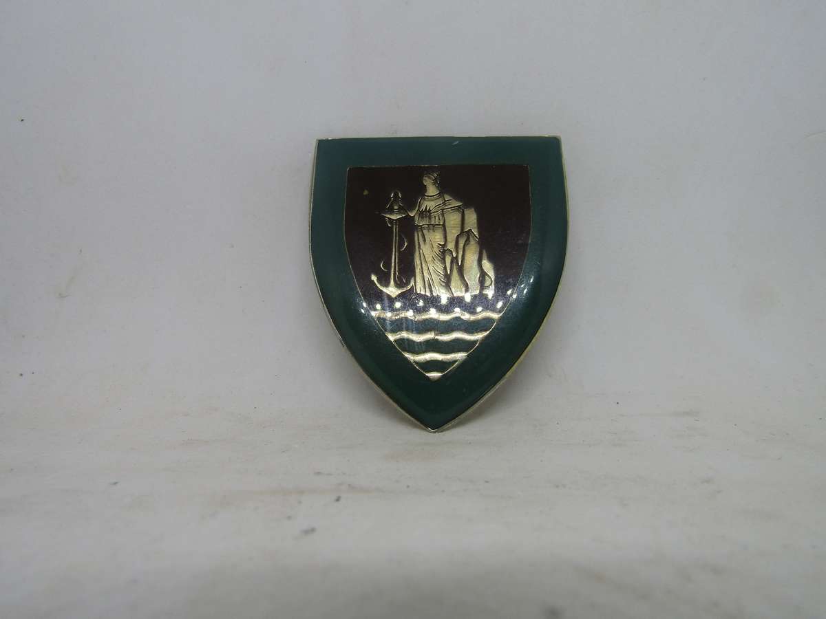 SADF Cape Corps Shoulder Flashes Badge. Pin intact.