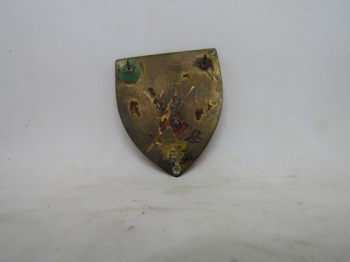 SADF Natal Command Shoulder Flashes Badge. Pin intact.